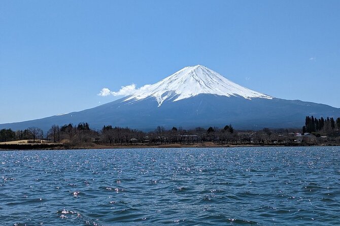 Mt. Fuji Day Trip from Tokyo with English Speaking Driver Guide - What this private Mt. Fuji trip is really like