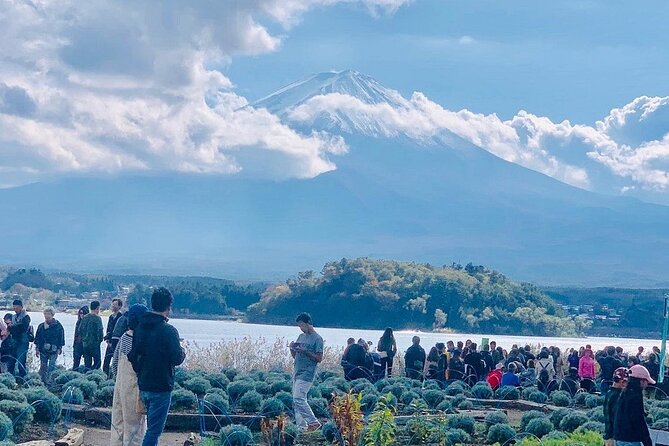Mt. Fuji Day Trip from Tokyo with English Speaking Driver Guide - Leaving Tokyo early is worth it