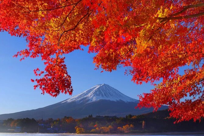 Mt Fuji Private Day Trip from Tokyo with English speaking driver - Why a private car makes sense for Mt Fuji