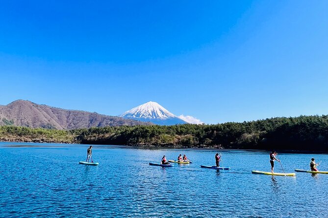 Mt Fuji Private Day Trip from Tokyo with English speaking driver - The two Sengen shrines and their different moods