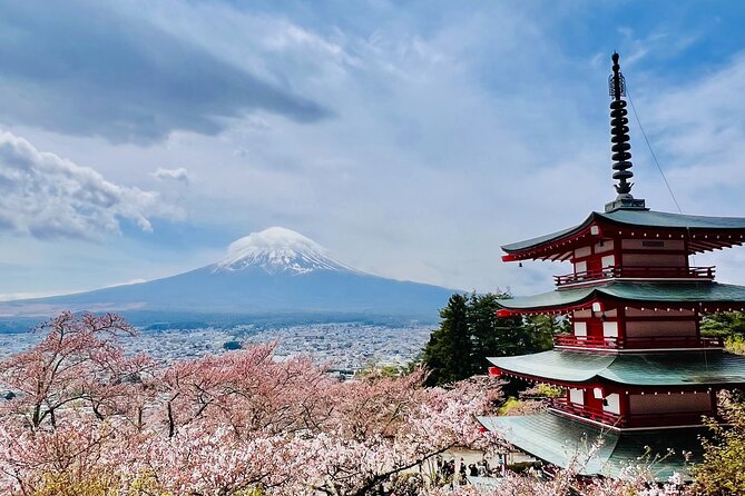 Mt Fuji Private Day Trip from Tokyo with English speaking driver - Yamanakako and the possible Fifth Station