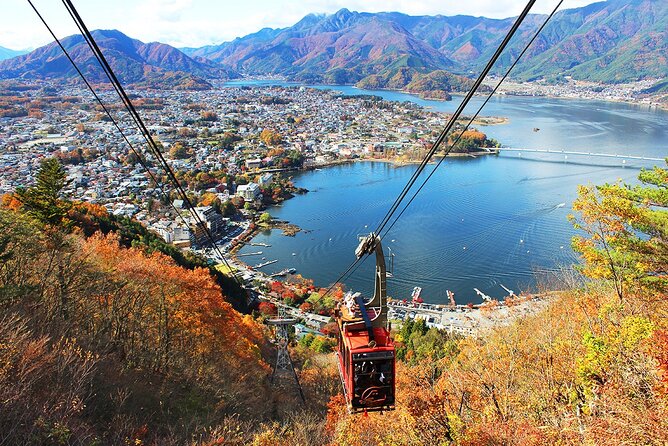 Mt Fuji Private Day Trip from Tokyo with English speaking driver - Drivers, communication, and the guide question