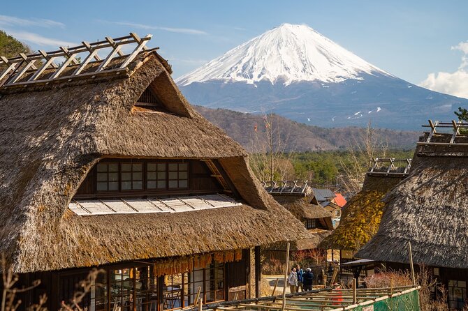 Mt Fuji Private Day Trip from Tokyo with English speaking driver - Oshino Hakkai and the small-village pause
