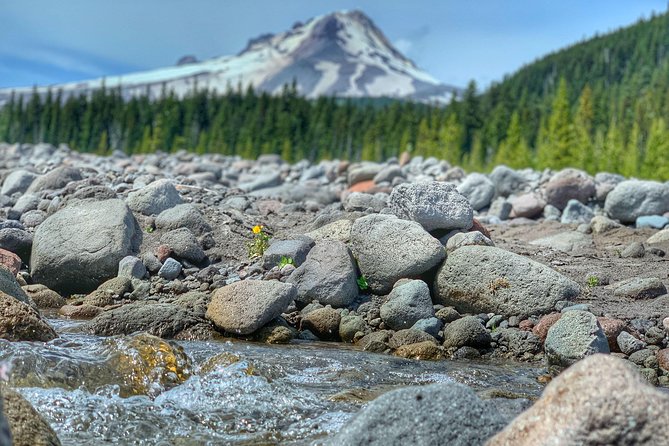 Mt Hood Day Trip from Portland to Multnomah Falls and Hood River - Rowena Crest and the shape of the Gorge