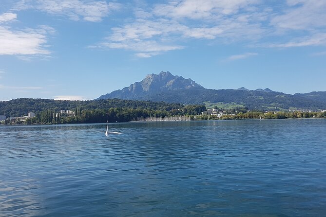 Mt. Pilatus Golden Roundtrip Small Group Day Trip from Lucerne - Fräkmüntegg adds a family-friendly option