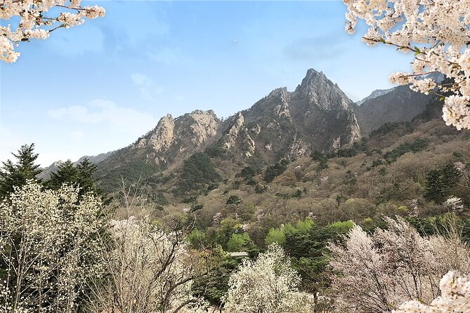 Mt. Seorak+Nami Island+Garden of Morning Calm Day Trip from Seoul - Three very different sides of Korea in one day