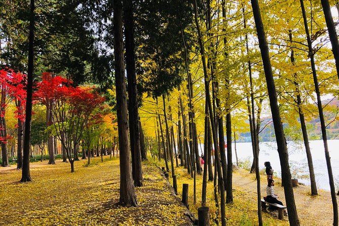 Mt. Seorak+Nami Island+Garden of Morning Calm Day Trip from Seoul - The Garden of Morning Calm after a full day
