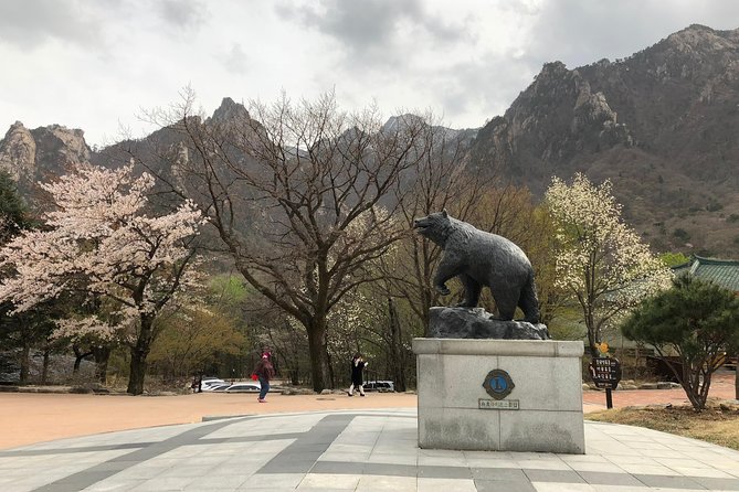 Mt. Seorak+Nami Island+Garden of Morning Calm Day Trip from Seoul - Who will enjoy this day trip most?