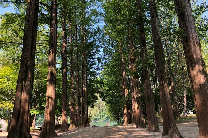 Mt. Seorak+Nami Island+Garden of Morning Calm Day Trip from Seoul - Practical advice for making the day easier