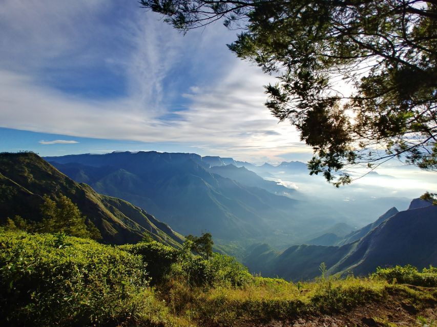 Munnar Private Day Trip - Key points at a glance