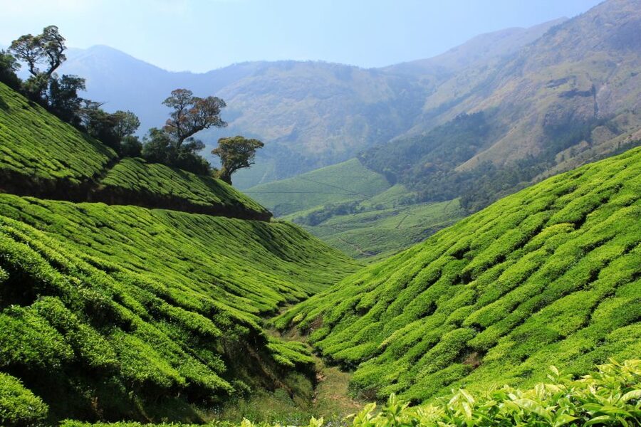 Munnar Private Day Trip - Cheeyappara and Valara waterfalls provide useful breaks