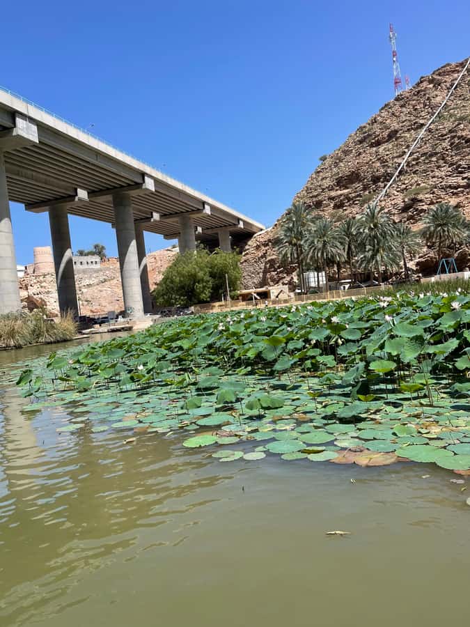 Muscat: Wadi Shab, Romantic Cave and Sinkhole Full-day Trip - Bimmah Sinkhole adds a second kind of stop