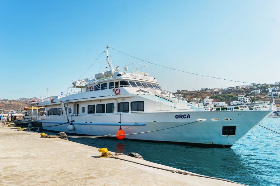 Mykonos Town: Archaeological Site of Delos Guided Day Trip - Who will enjoy this tour most