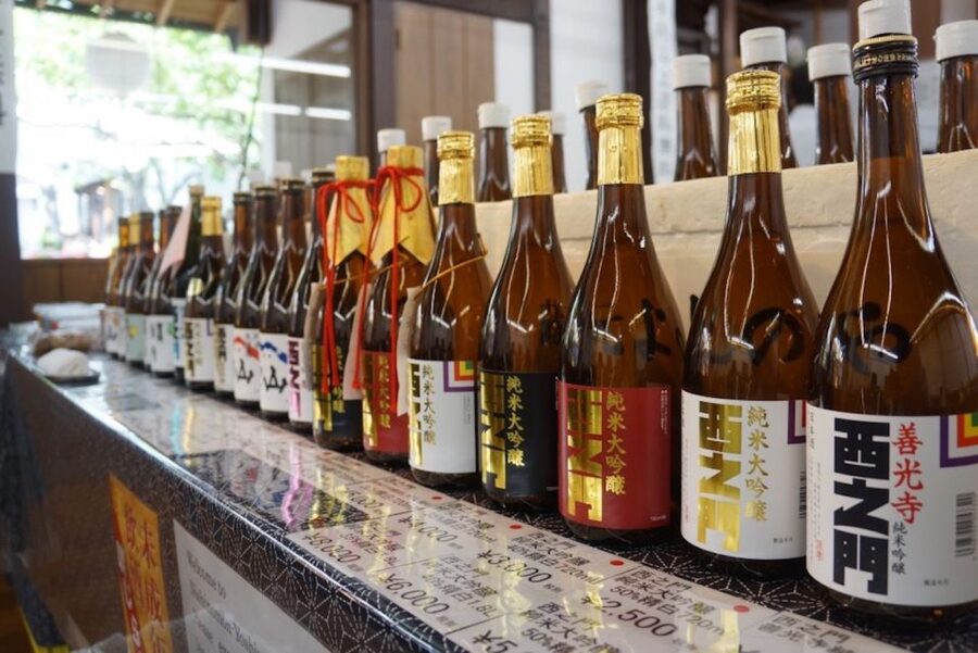 Nagano: Snow Monkeys, Zenkoji Temple & Sake Day Trip - The snow monkeys are wild, close, and often entertaining