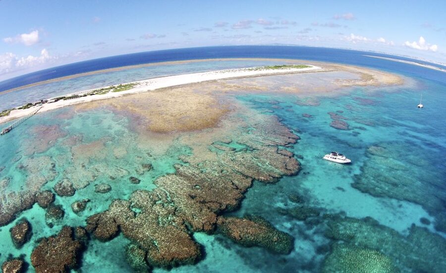 Naha, Okinawa: Keramas Island Snorkeling Day Trip with Lunch - A second and third site bring different views