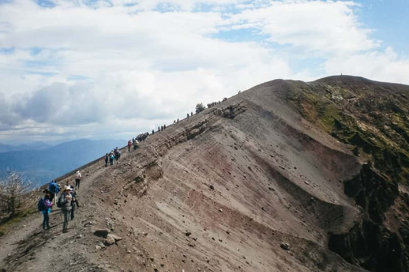 Naples: Pompeii and Vesuvius Day Trip - Starting from Naples by shuttle bus