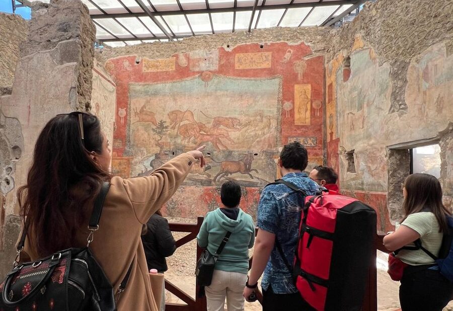 Naples: Pompeii & Mt. Vesuvius Day Trip with Tickets & Lunch - Pompeii first, then the volcano that buried it