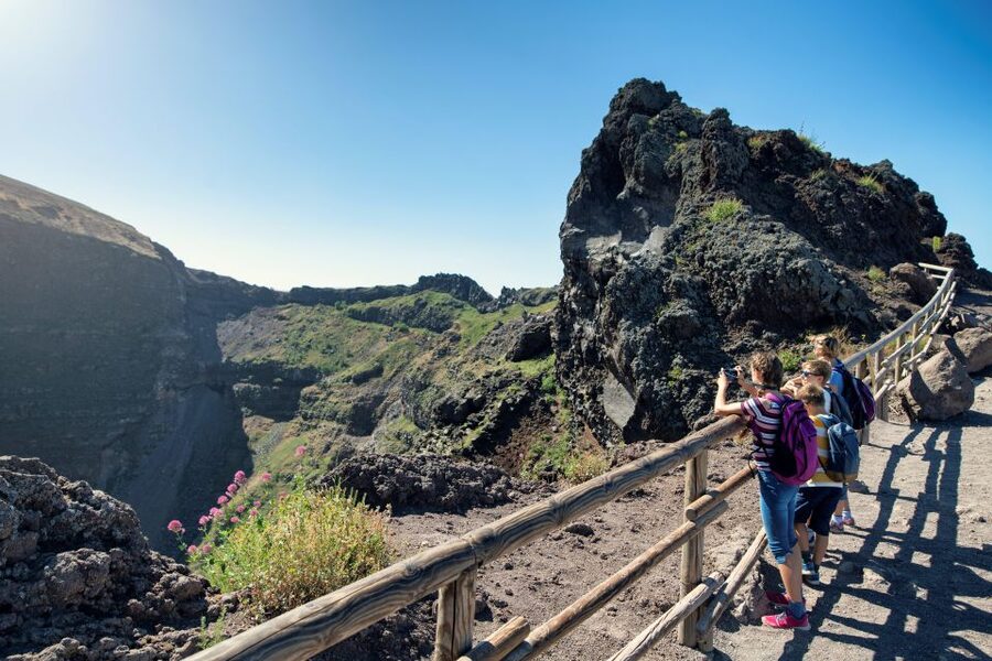 Naples: Pompeii & Mt. Vesuvius Day Trip with Tickets & Lunch - Who will enjoy this day most