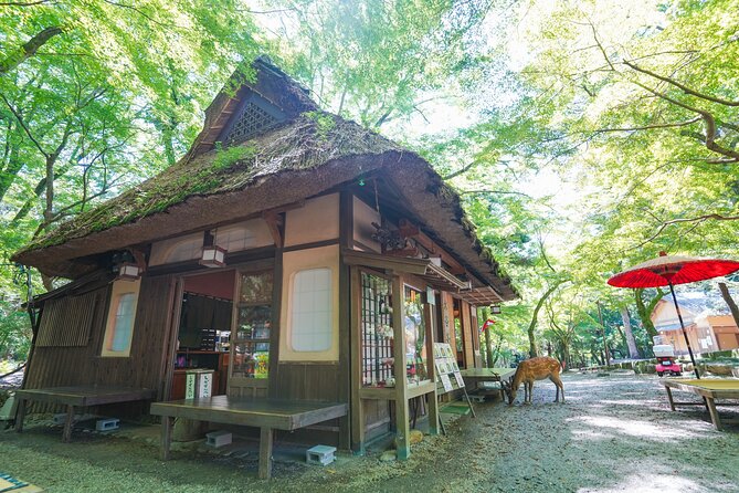 Nara Half Day Trip Walking Tour (Private Option Available) - Nara Park and the famous deer
