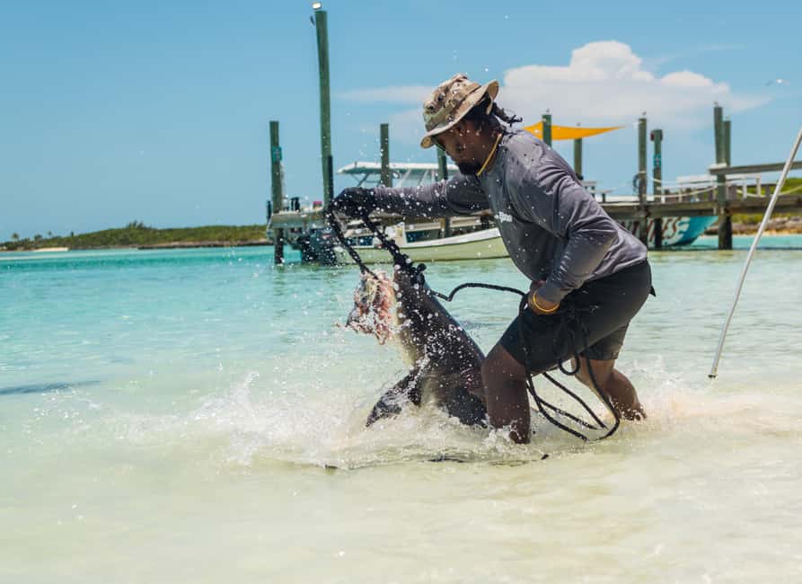 Nassau: Exuma Powerboat Day Trip - From Nassau to Ship Channel Cay by powerboat