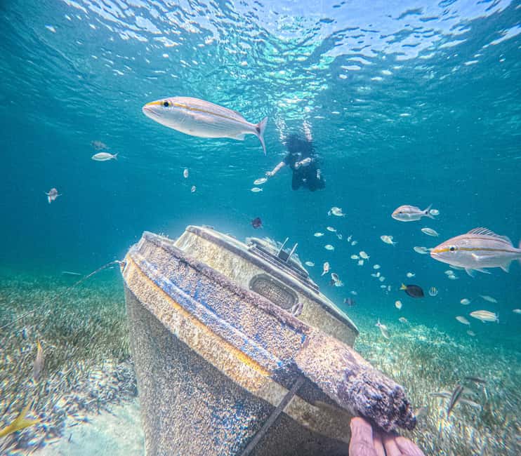 Nassau: Sun Cay Day Trip, Snorkel, Iguana Encounter, & Lunch - Key points to know before booking