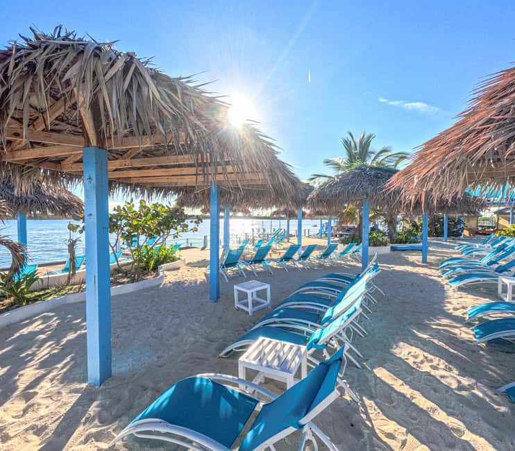 Nassau: Sun Cay Day Trip, Snorkel, Iguana Encounter, & Lunch - Cruise timing needs careful attention