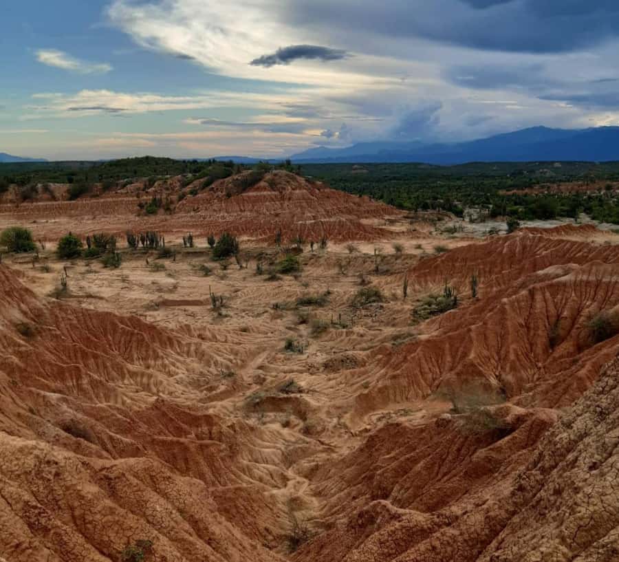 Neiva: Guided Day Trip to the Tatacoa Desert with Lunch - Pickup in Neiva and the road to Villavieja