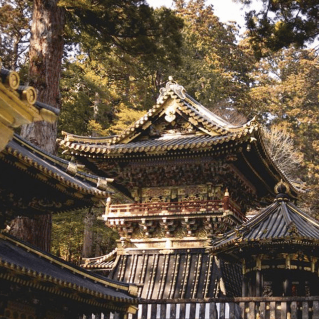 Nikko Heritage & Nature Day Trip from Tokyo - What the $391 price really buys you