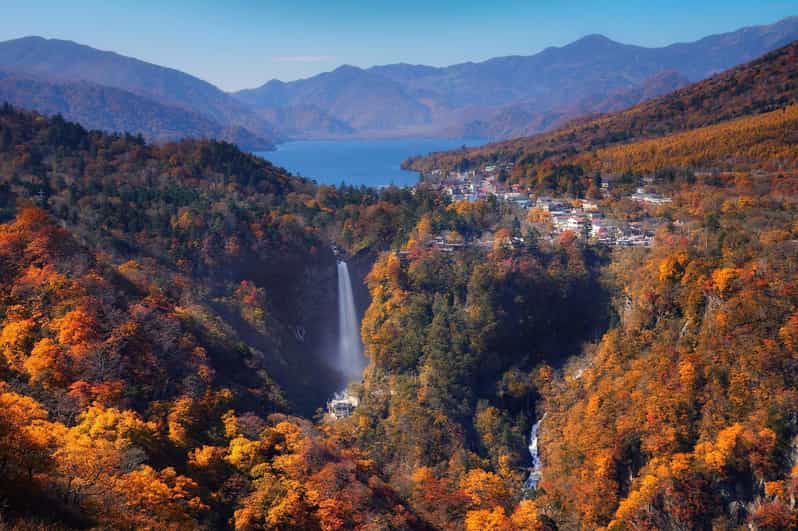 Nikko Heritage & Nature Day Trip from Tokyo - Toshogu Shrine and the cedar-lined approach