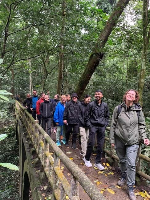 Ninh Binh: Cuc Phuong Jungle Hike & Wildlife Day Trip - The rainforest hike to the 1,000-year-old Cay Cho tree