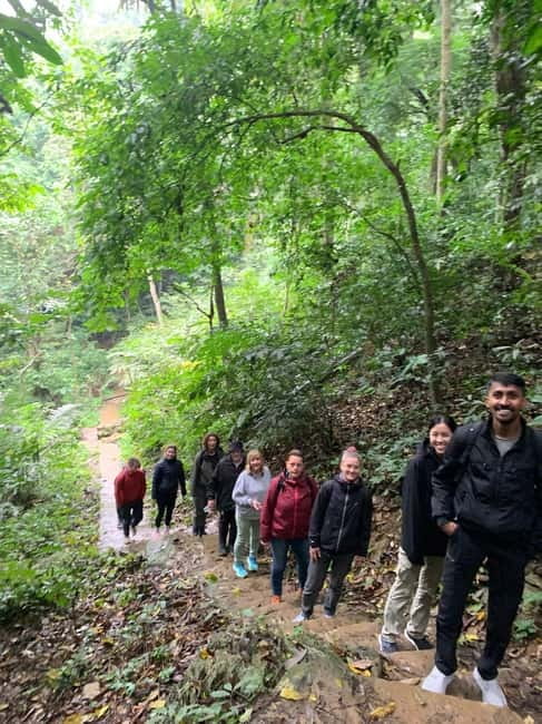Ninh Binh: Cuc Phuong Jungle Hike & Wildlife Day Trip - How demanding is the walk?