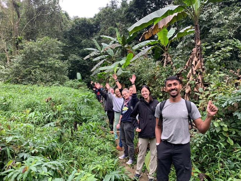 Ninh Binh: Cuc Phuong Jungle Hike & Wildlife Day Trip - Guides, vehicles, and the pace of the day