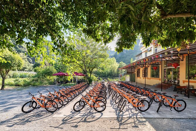 Ninh Binh Day Trip: Bai Dinh-Trang An-Mua Cave, Buffet, Boat, Bus - Mua Cave and the 500-Step Challenge