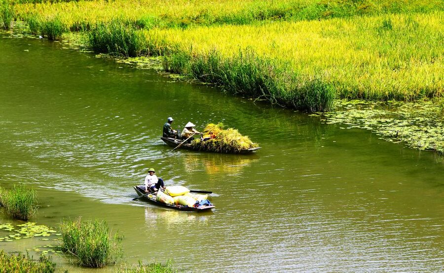 Ninh Binh: Hoa Lu, Trang An and Mua Caves Hiking Day Trip - Leaving Hanoi at 7:30 a.m.