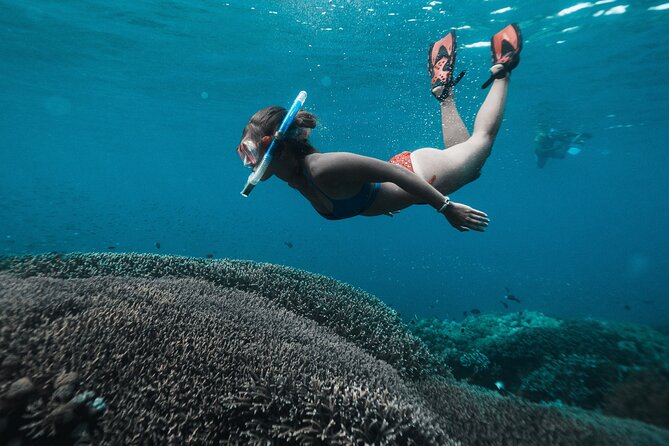 Nusa Penida day trip: boat, 4 snorkeling, Manta rays & Land tour - Mangrove Point brings the first water stop