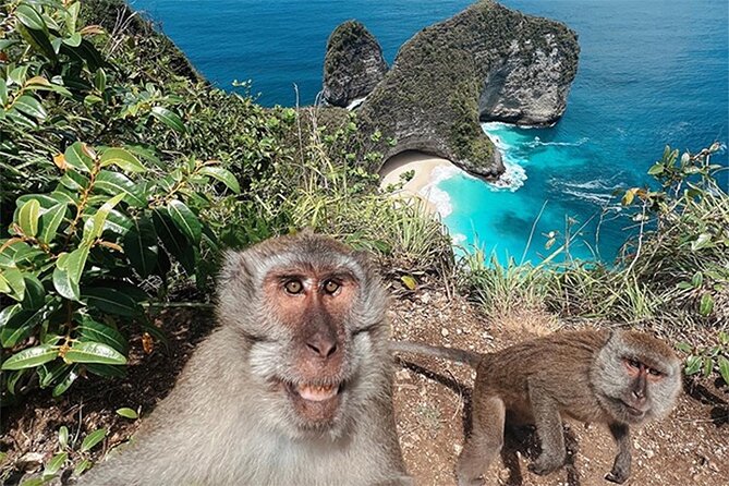 Nusa Penida day trip: boat, 4 snorkeling, Manta rays & Land tour - Lunch comes with a view and an infinity pool