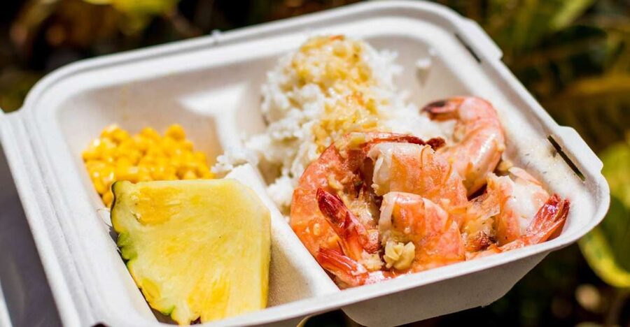 Oahu: Circle Island Day Trip with Shrimp Plate Lunch - Halona Blowhole and Makapuʻu’s ocean cliffs
