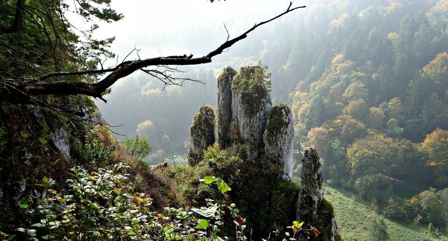 Ojcow National Park: Full-Day Trip from Krakow - Who will enjoy this day most?
