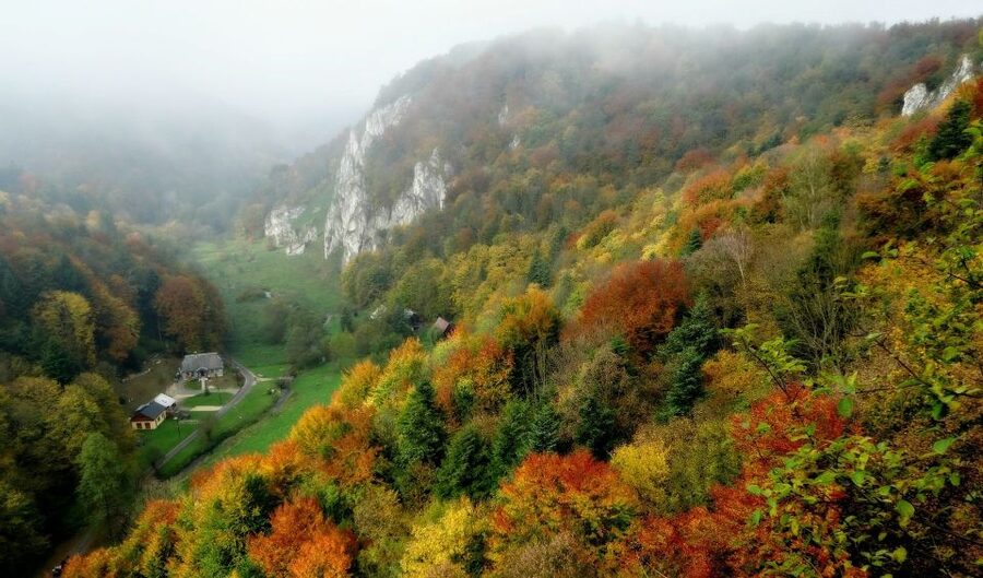 Ojcow National Park: Full-Day Trip from Krakow - Pieskowa Skala Castle and Poland’s Renaissance style