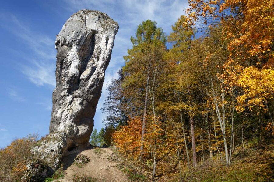 Ojcow National Park: Full-Day Trip from Krakow - What to bring for the forest and cave