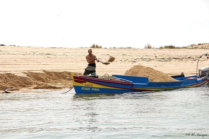 Olhão: Ria Formosa 3 Islands Guided Day Trip by Boat - Why Ria Formosa is worth your time