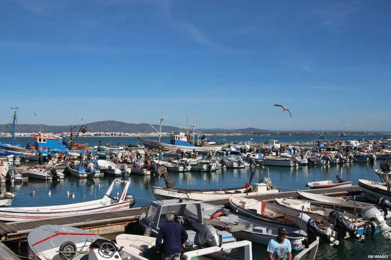 Olhão: Ria Formosa 3 Islands Guided Day Trip by Boat - Wildlife, shellfish farms, and the working lagoon