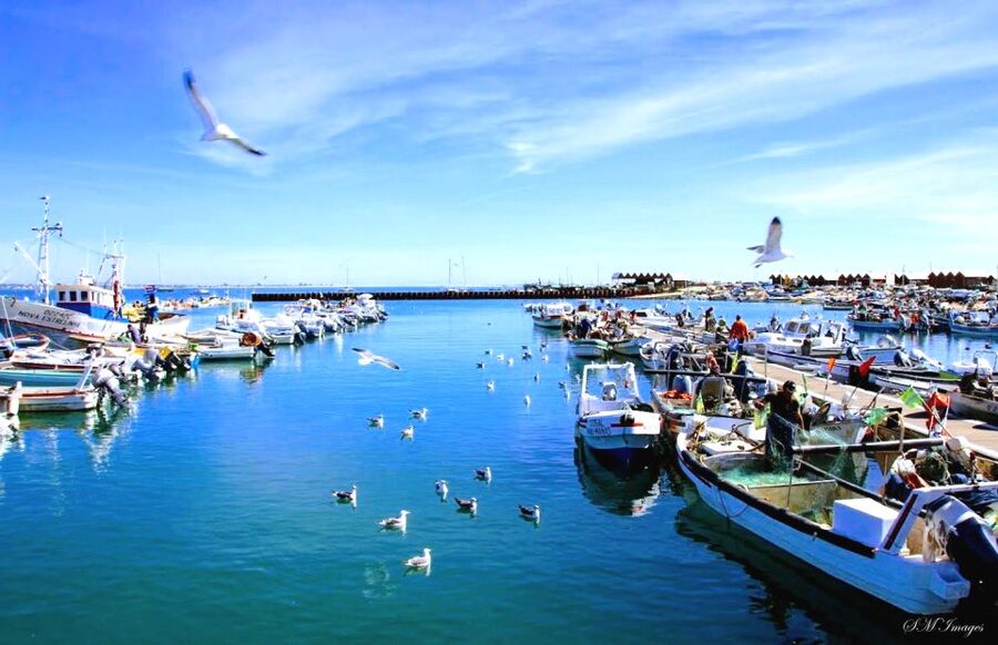 Olhão: Ria Formosa 3 Islands Guided Day Trip by Boat - Comfort, timing, and what to pack