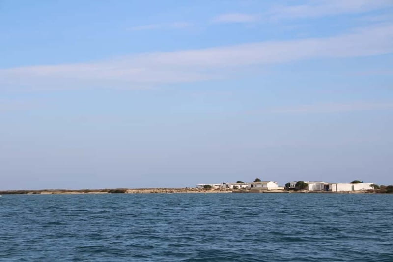Olhão: Ria Formosa 3 Islands Guided Day Trip by Boat - Is $58 good value?