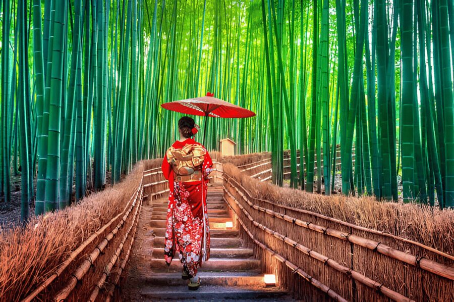 Osaka/Kyoto: Private Kyoto and Nara Day Trip - Why a private Kyoto and Nara day makes sense