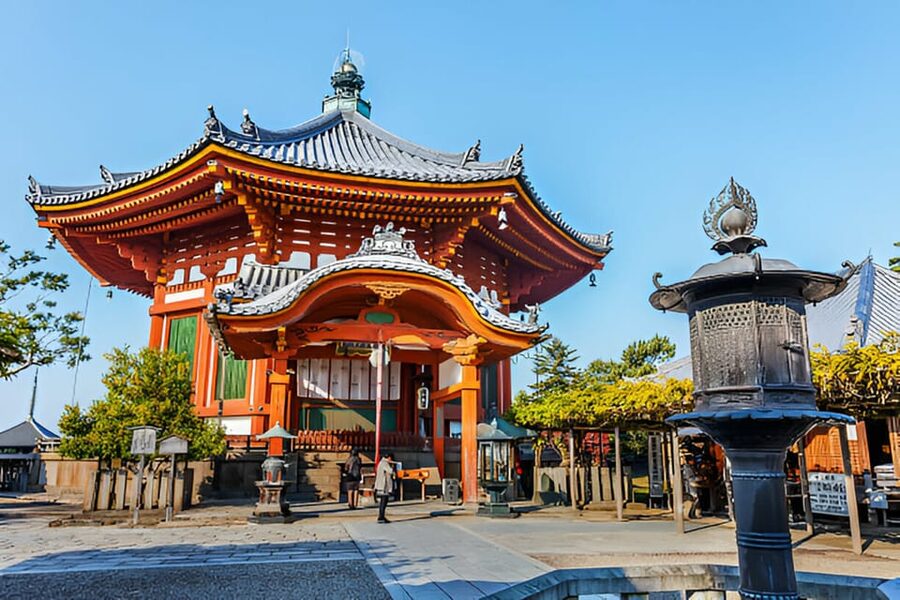 Osaka/Kyoto: Private Kyoto and Nara Day Trip - Nara Park and its famous deer
