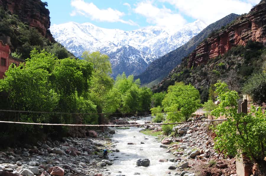Ourika Valley with Atlas Mountains Day Trip from Marrakech - From Marrakech to the red foothills