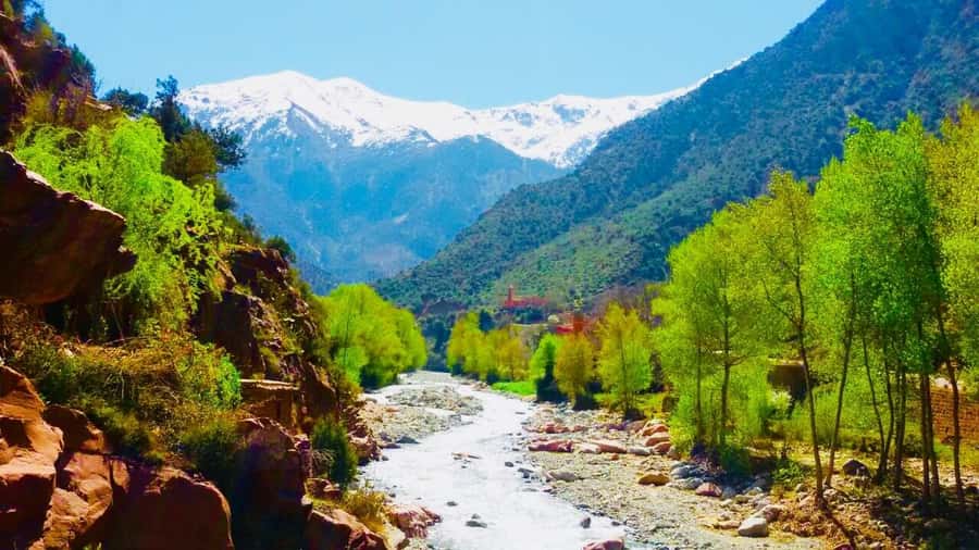 Ourika Valley with Atlas Mountains Day Trip from Marrakech - Lunch beside the Ourika River