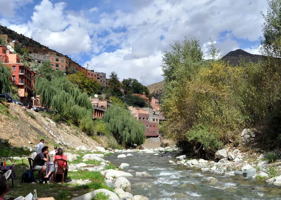 Ourika Valley with Atlas Mountains Day Trip from Marrakech - Transport, drivers, and the shared-group rhythm