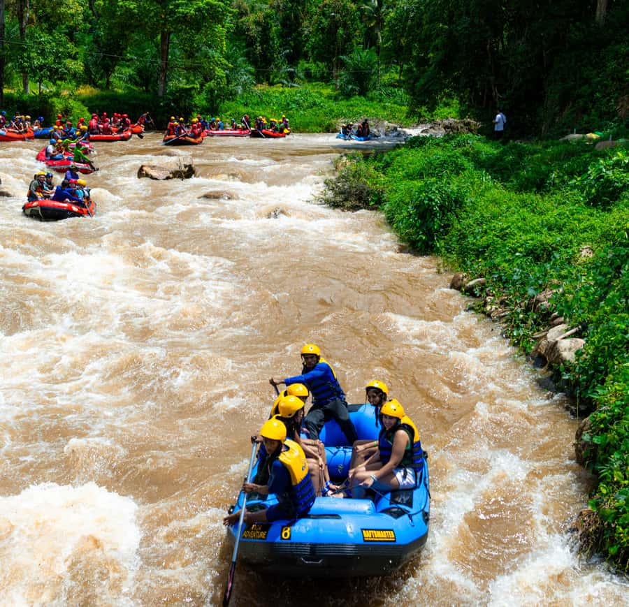 Pa Tong: Rainforest Day Trip with Cave, Rafting, ATV & Lunch - Turtle farm and waterfall time